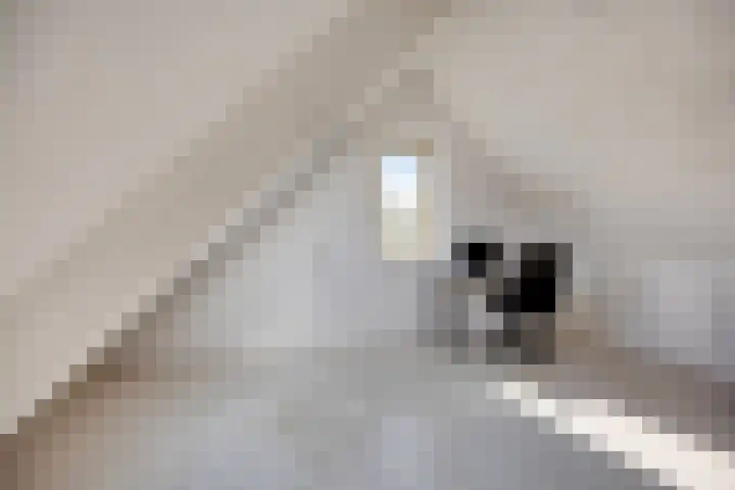 Jean Sibeliusstraat 24 Rotterdam thumbnail 26