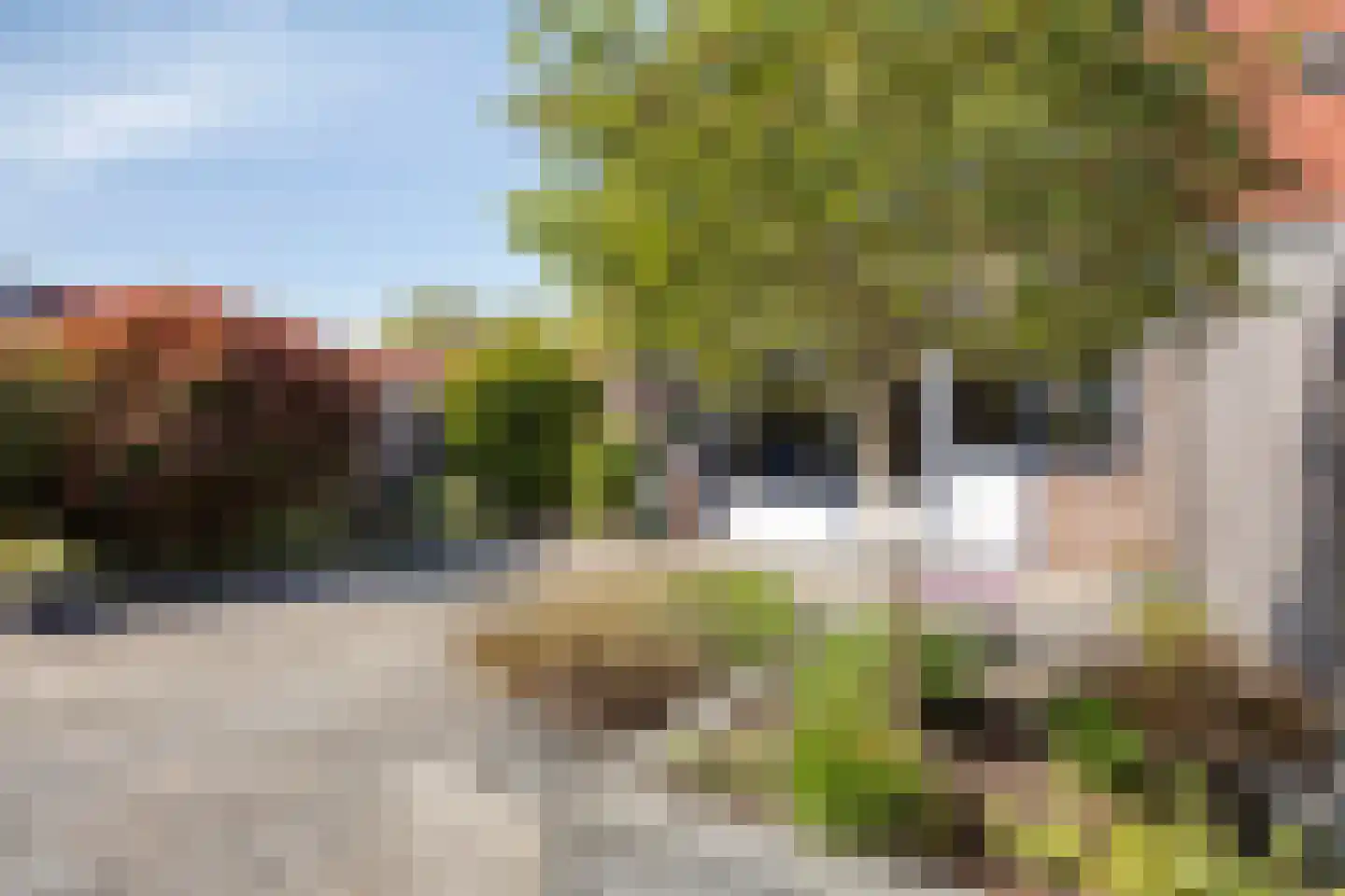 Jean Sibeliusstraat 24 Rotterdam thumbnail 29