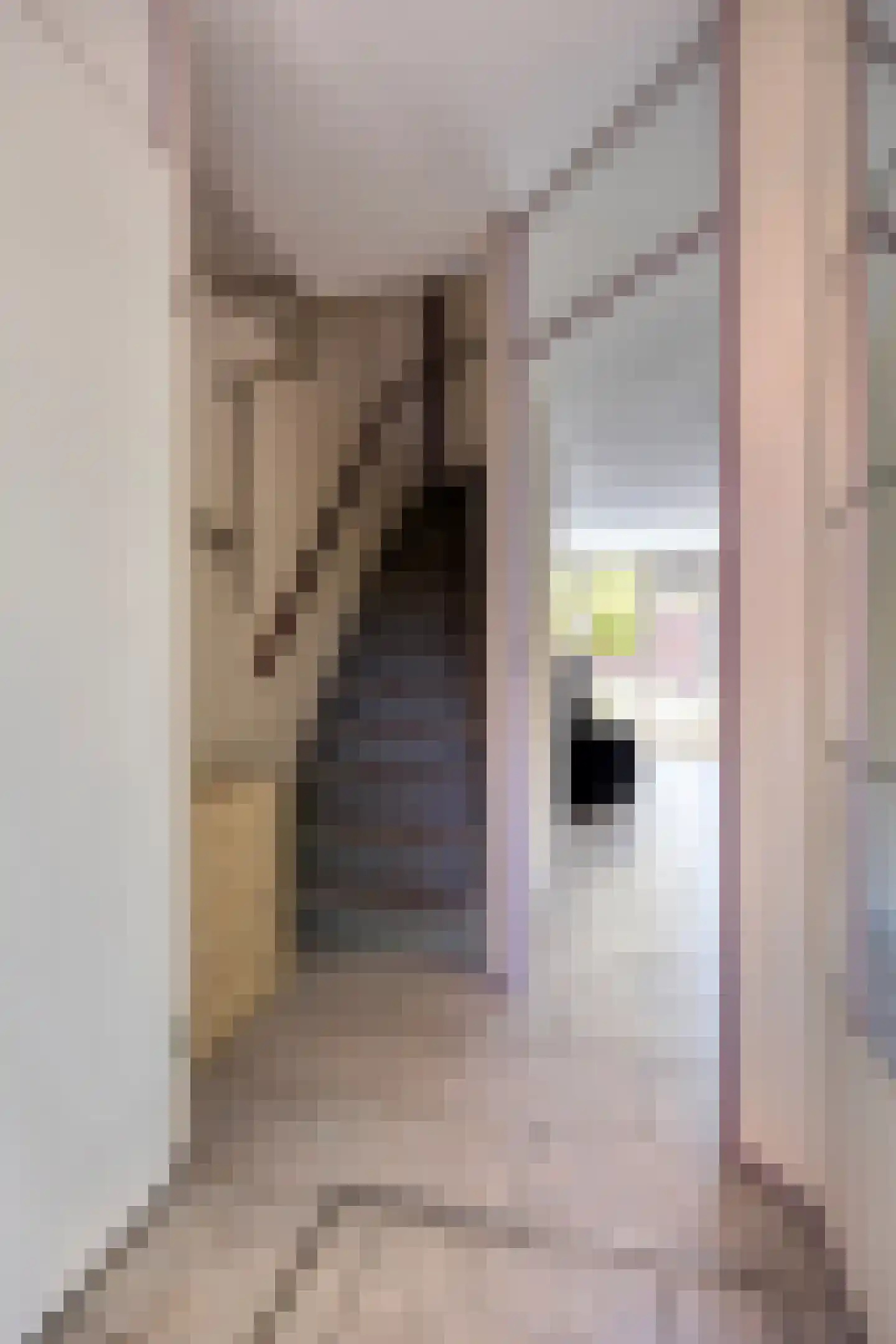 Jean Sibeliusstraat 24 Rotterdam thumbnail 6