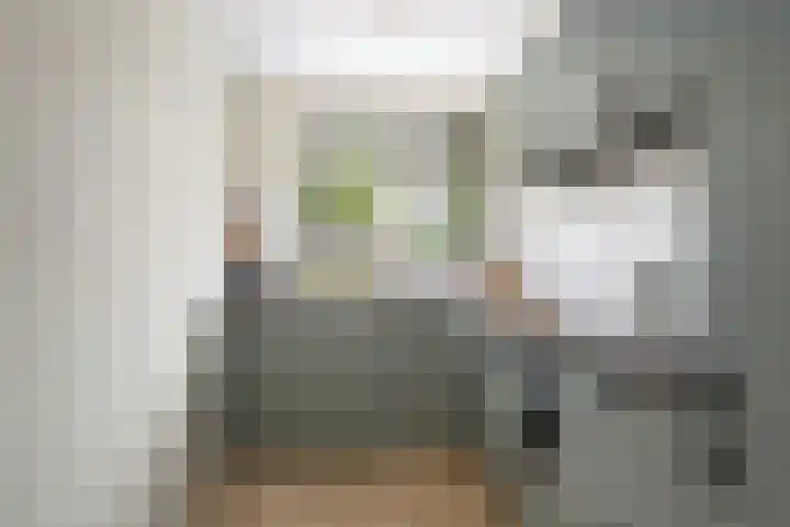 Jean Sibeliusstraat 48 Rotterdam thumbnail 11