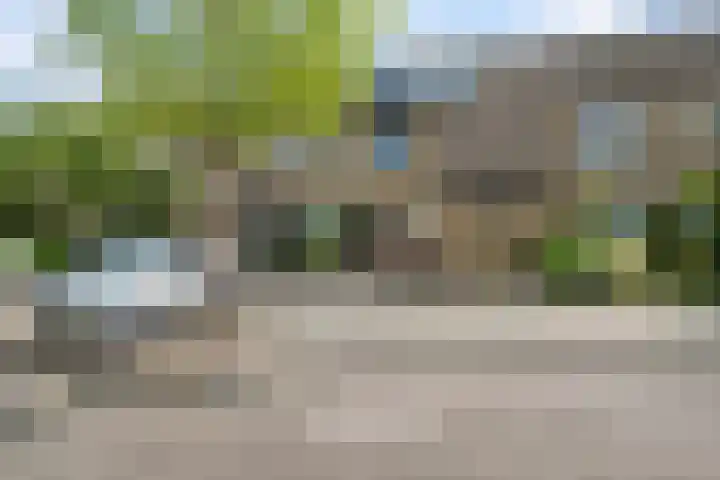 Jean Sibeliusstraat 48 Rotterdam thumbnail 34