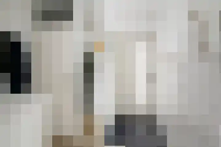 Jean Sibeliusstraat 48 Rotterdam thumbnail 5