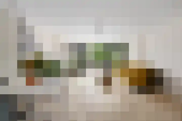Jean Sibeliusstraat 48 Rotterdam thumbnail 6