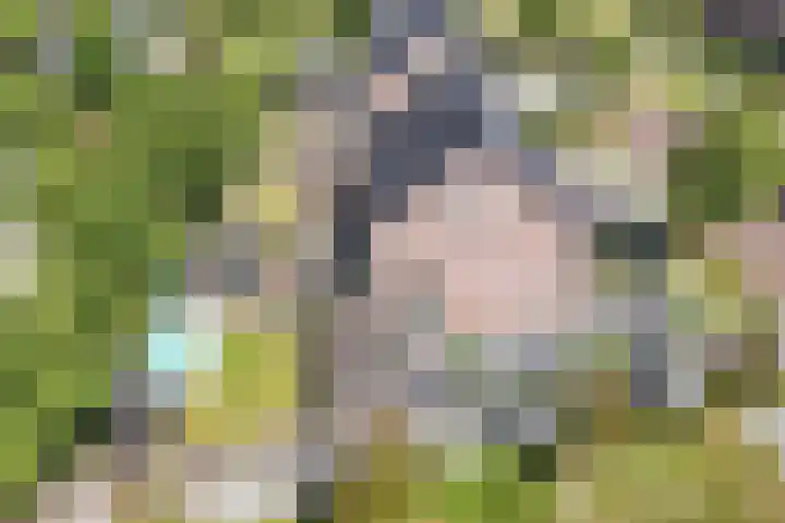 Jeanne d'Arclaan 16 B Emmeloord thumbnail 12