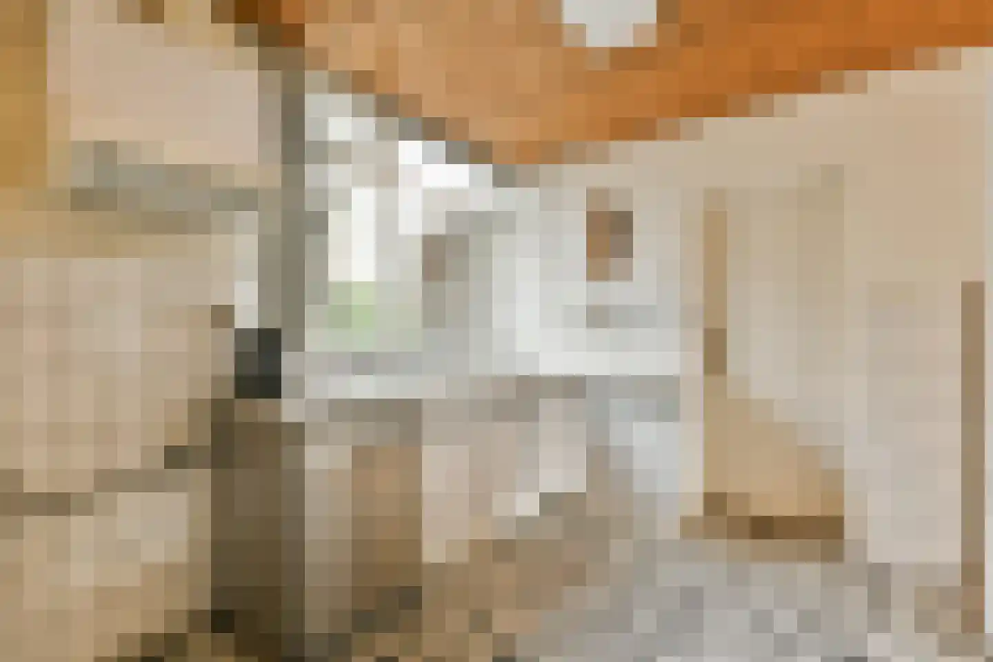 Jeanne d'Arclaan 3 Amstelveen thumbnail 13