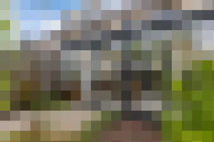 Jeanne d'Arclaan 36 Emmeloord thumbnail 30