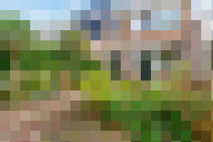 Jeanne d'Arclaan 43 Amstelveen thumbnail 23