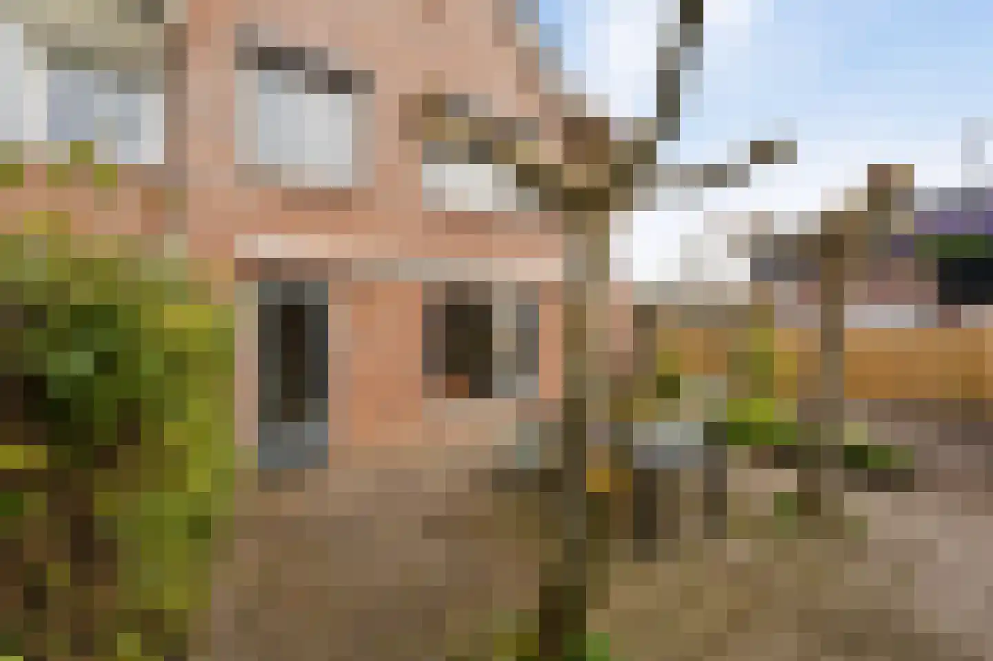 Jeanne d'Arclaan 53 Emmeloord thumbnail 25