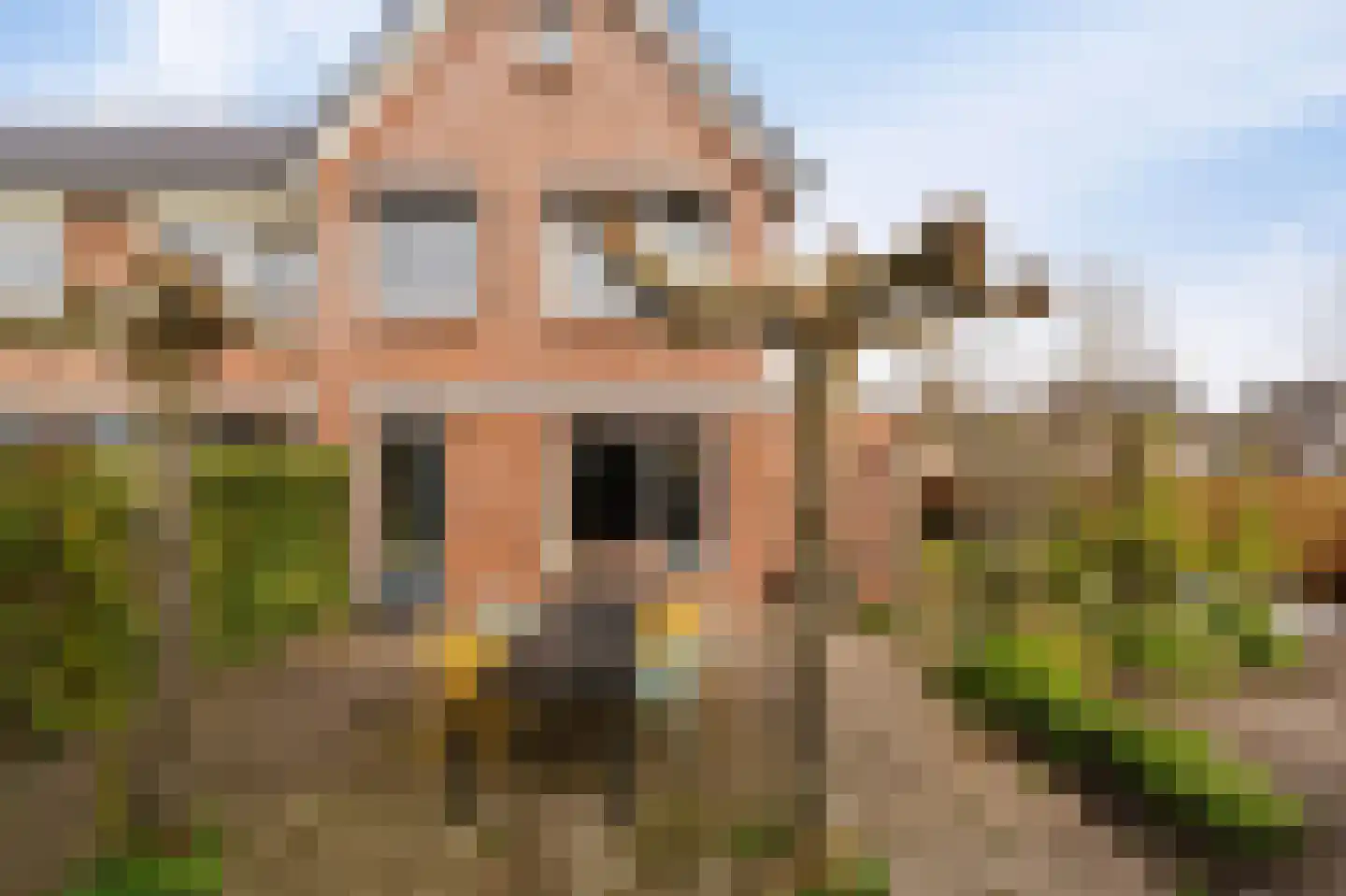 Jeanne d'Arclaan 53 Emmeloord thumbnail 5