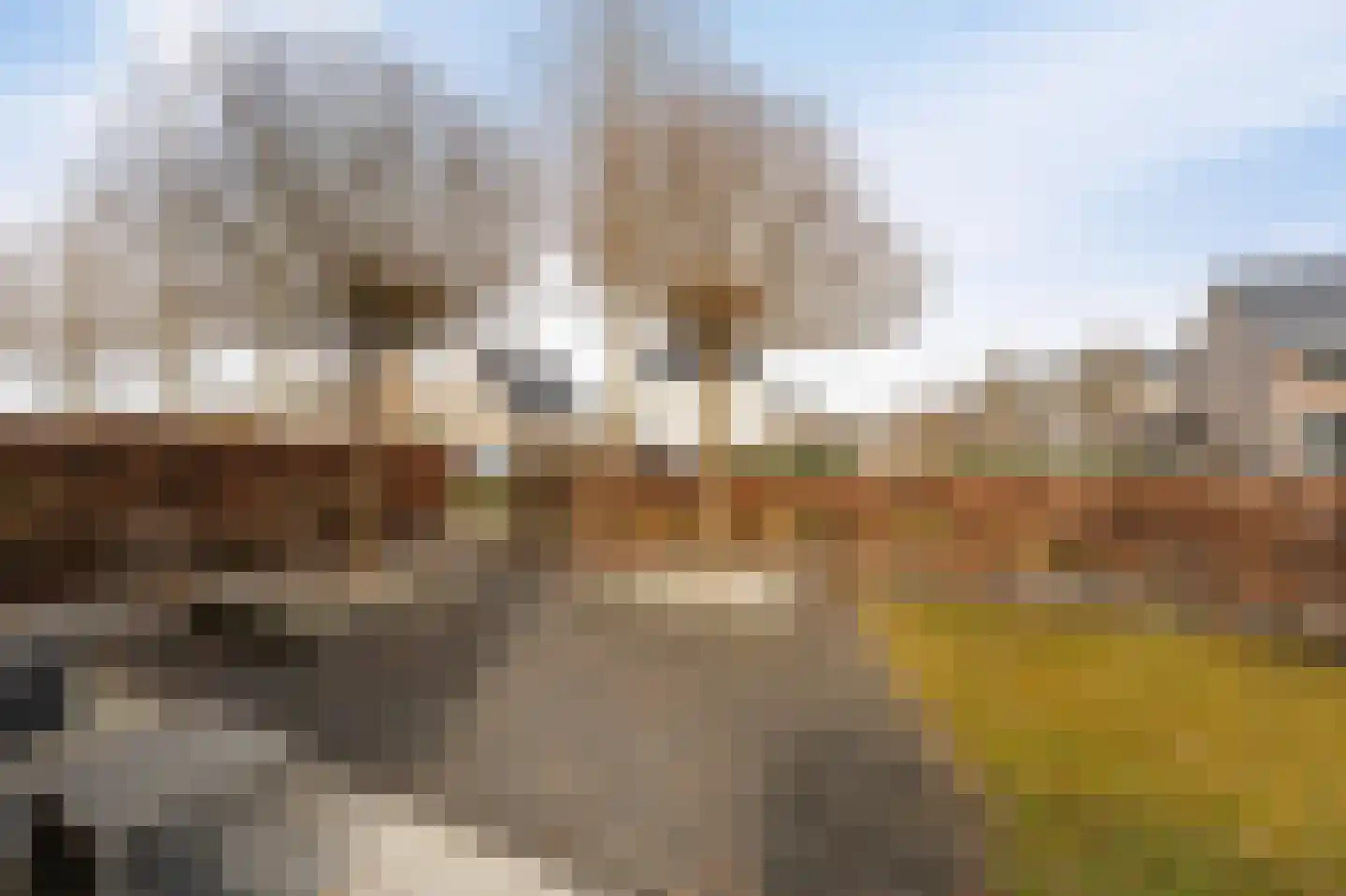 Jeanne d'Arclaan 53 Emmeloord thumbnail 54