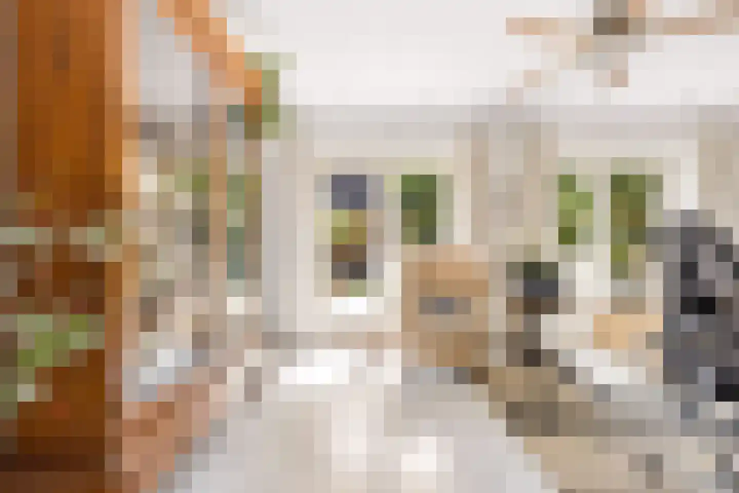 Jeanne Moreaustraat 5 Almere thumbnail 20