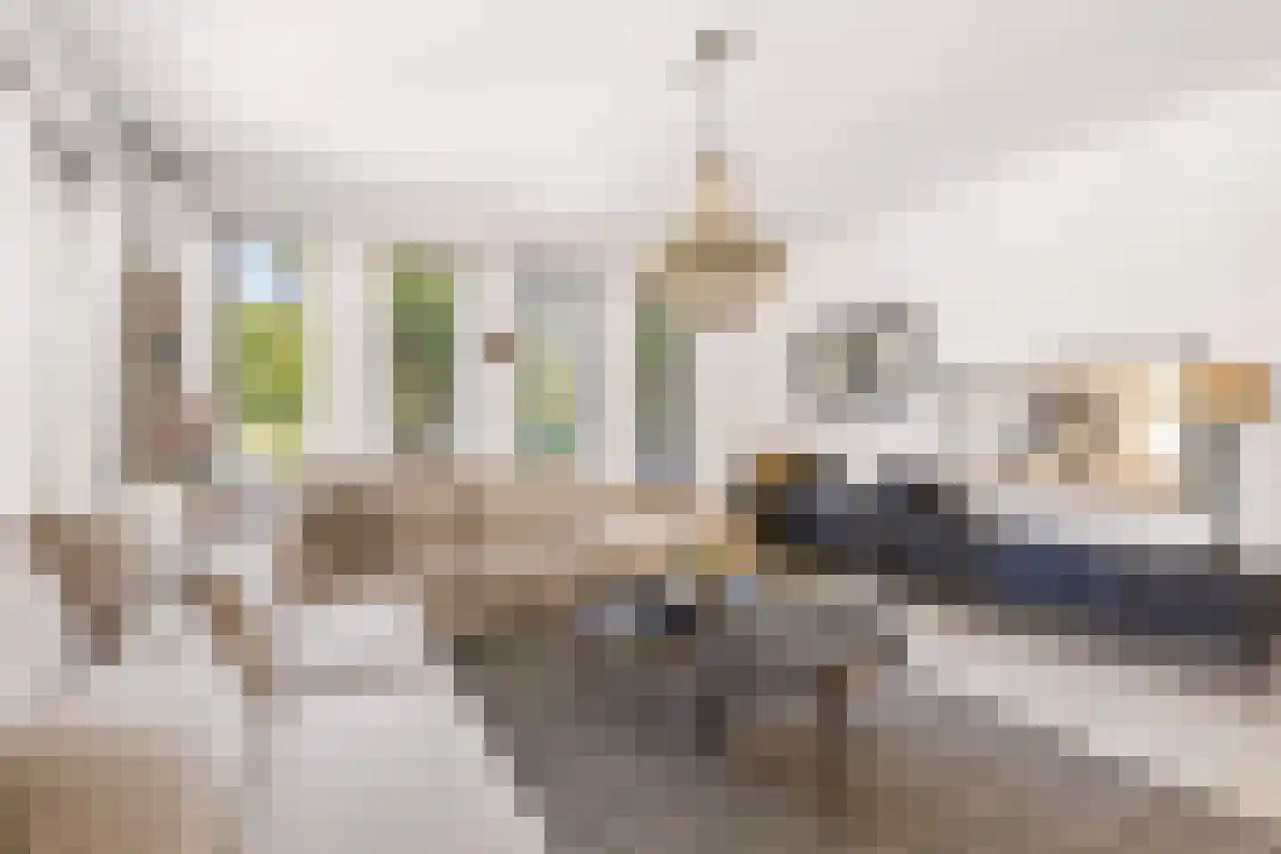 Jeanne Moreaustraat 5 Almere thumbnail 8