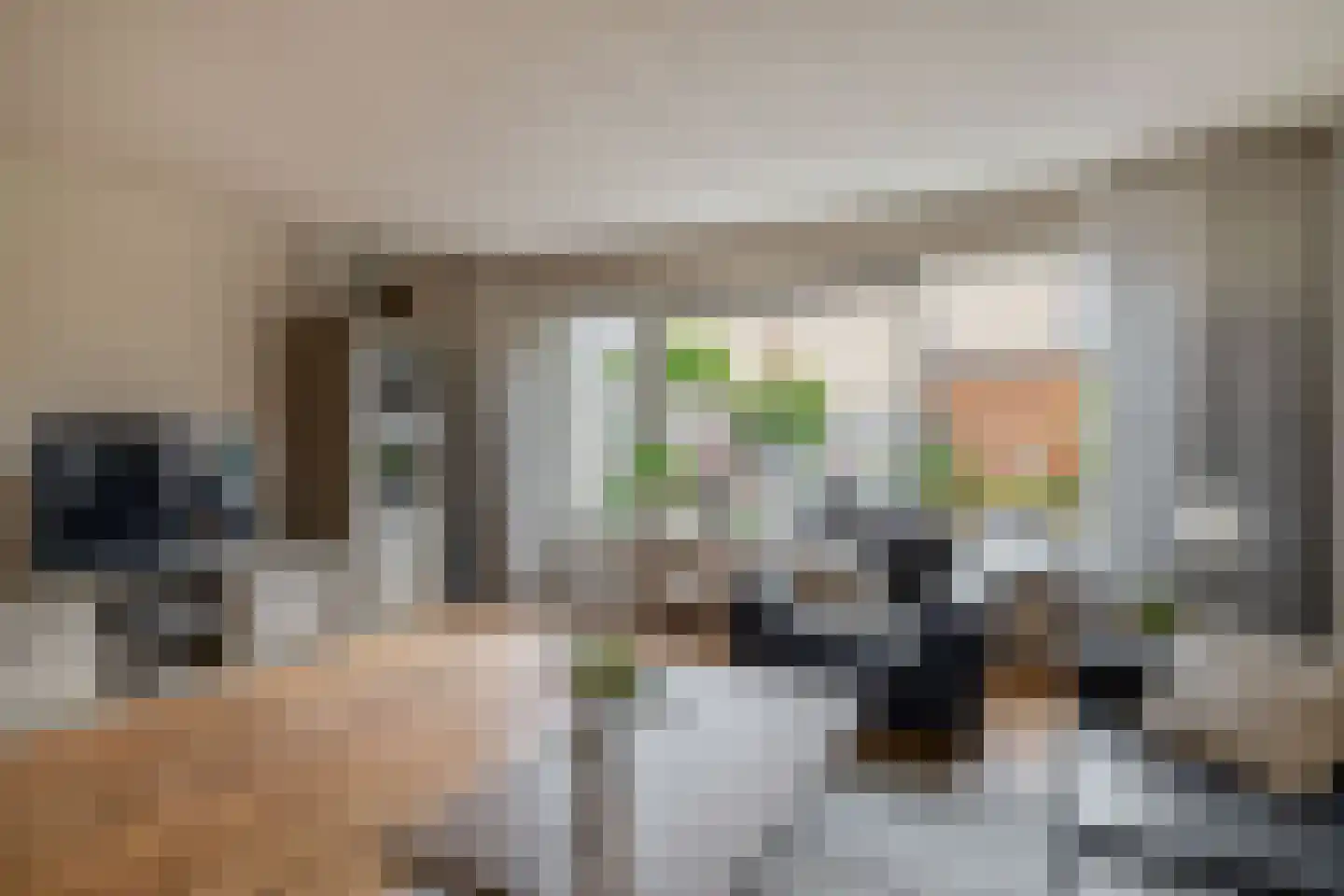 Jeanne van Schaik-Willingstraat 1 Spijkenisse thumbnail 15