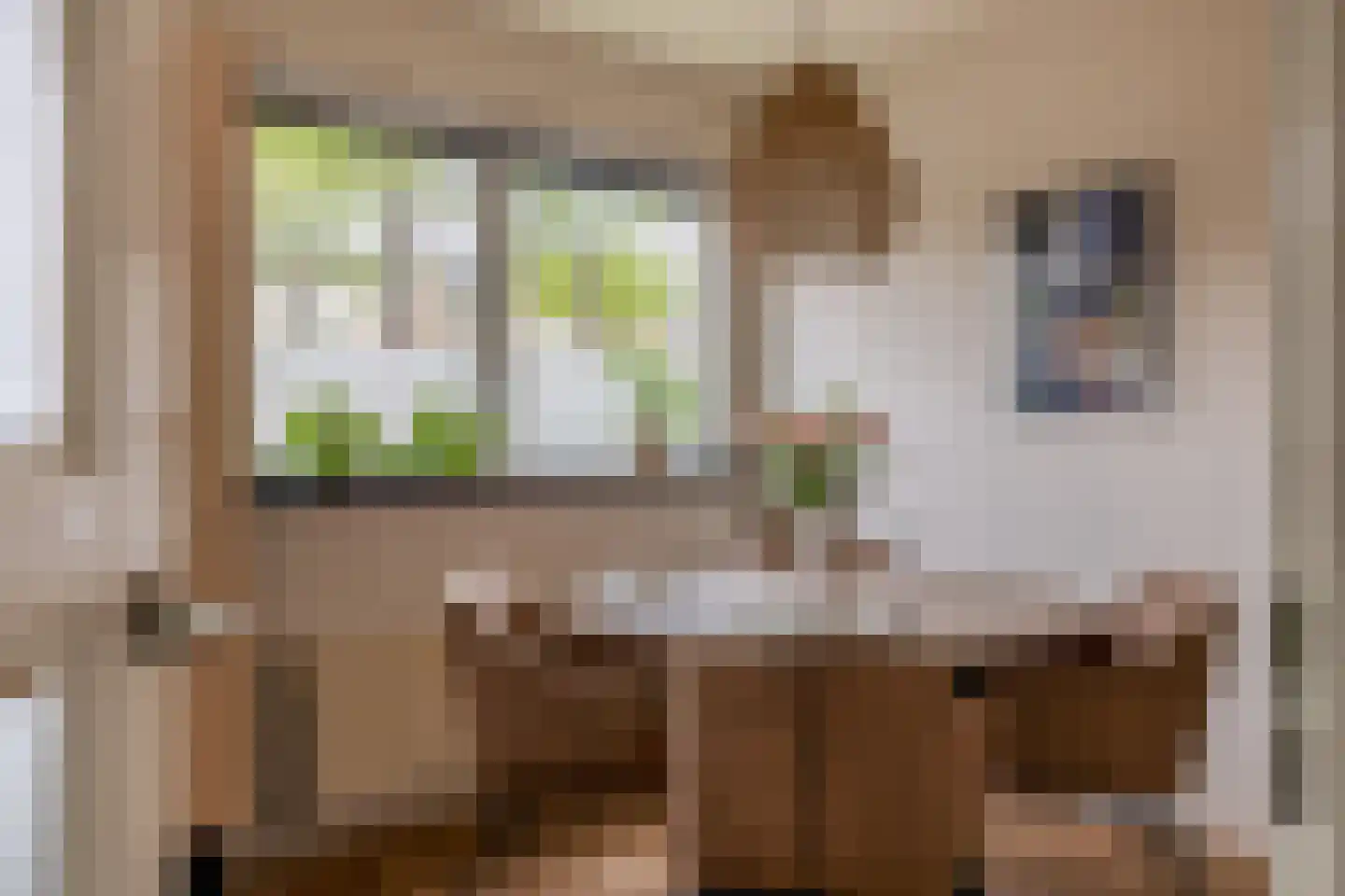 Jeanne van Schaik-Willingstraat 1 Spijkenisse thumbnail 20