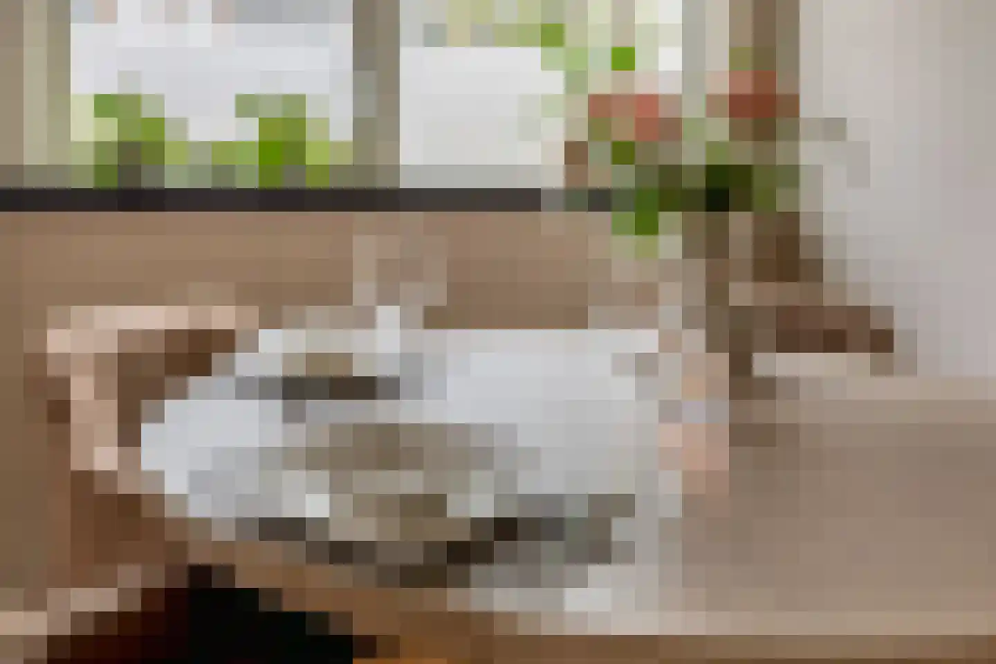 Jeanne van Schaik-Willingstraat 1 Spijkenisse thumbnail 22