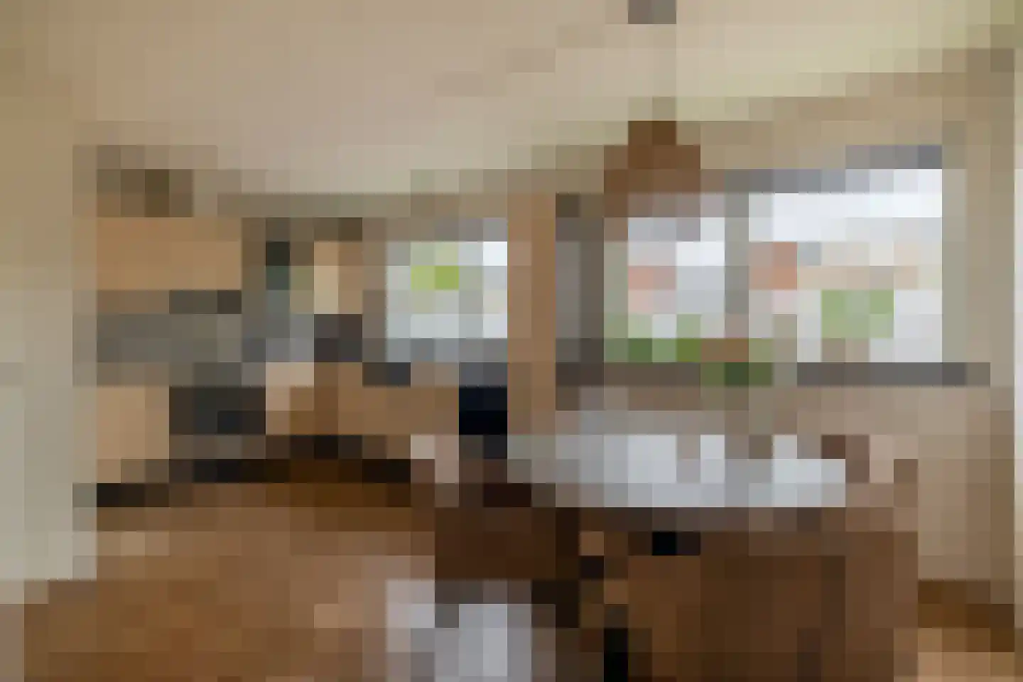 Jeanne van Schaik-Willingstraat 1 Spijkenisse thumbnail 23