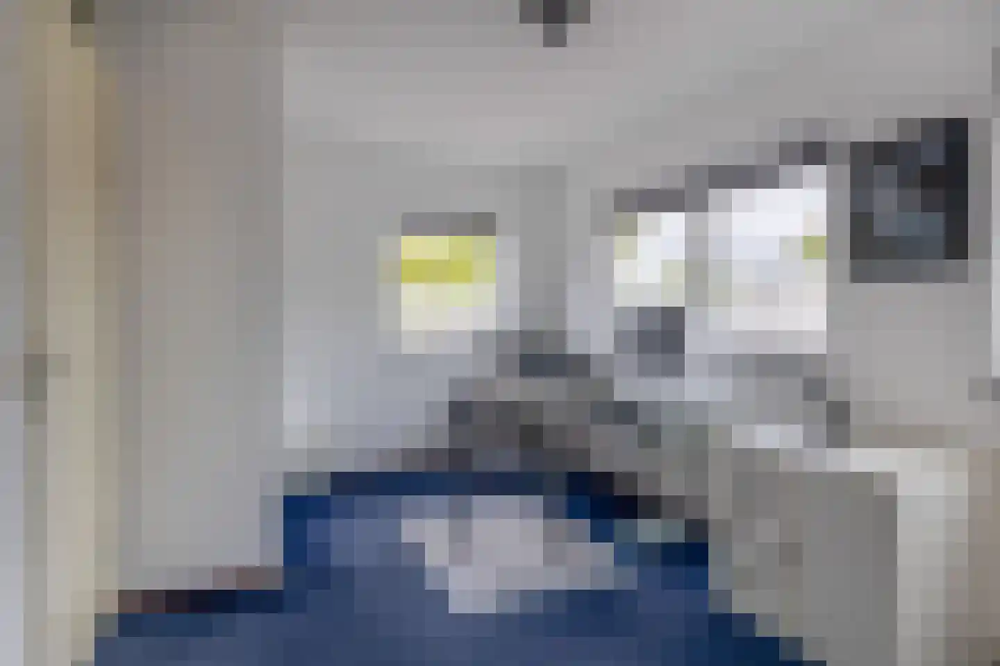 Jeanne van Schaik-Willingstraat 1 Spijkenisse thumbnail 38