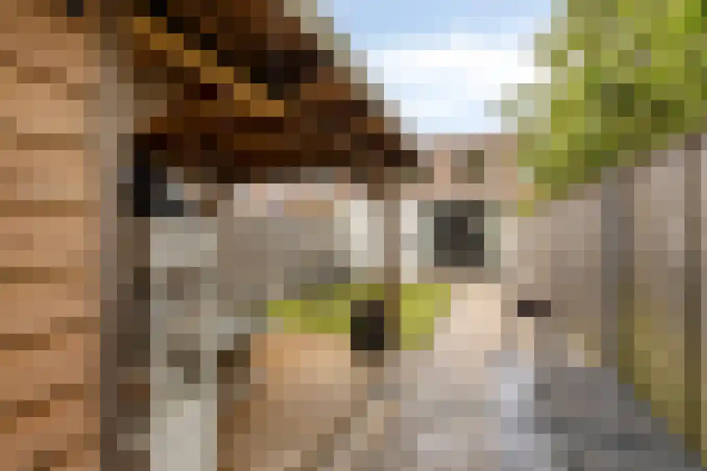 Jeannette Houwingstraat 8 Breda thumbnail 33