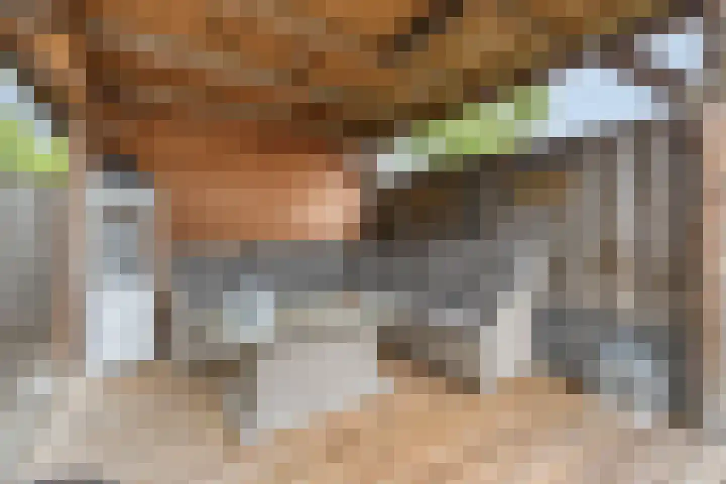 Jeannette Houwingstraat 8 Breda thumbnail 35
