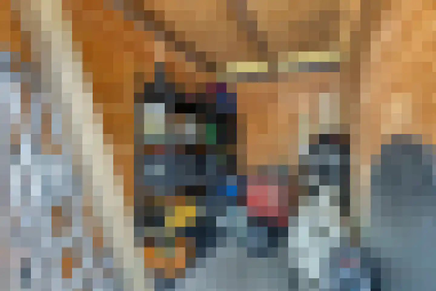 Jeannette Houwingstraat 8 Breda thumbnail 37