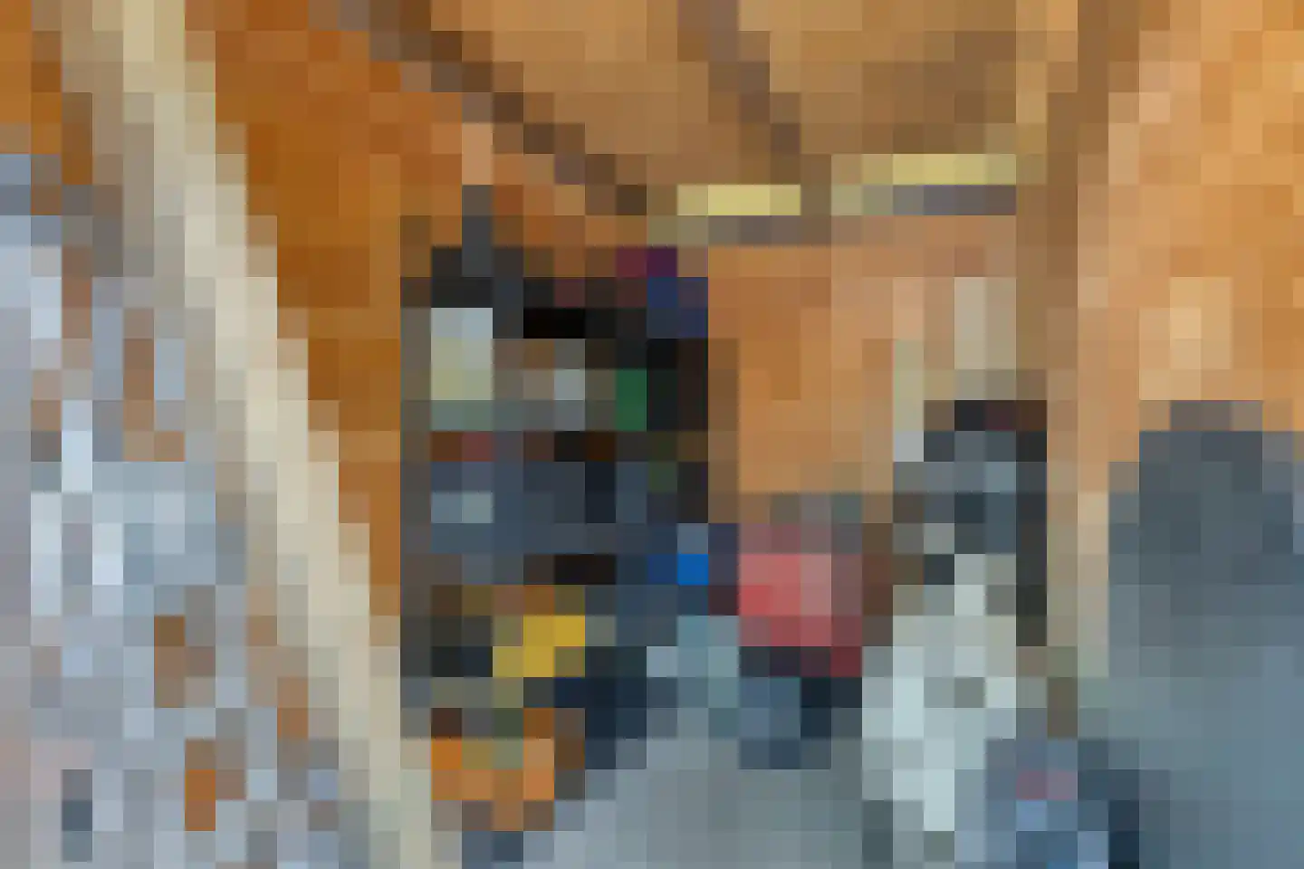 Jeannette Houwingstraat 8 Breda thumbnail 37