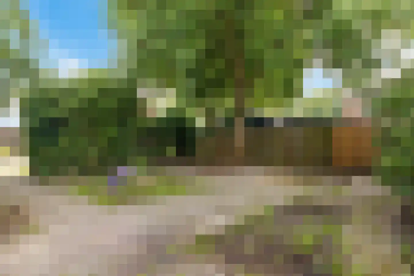 Jeen Stokerstraat 20 Emmer-Compascuum thumbnail 18