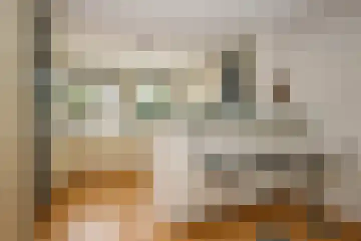 Jef Laststraat 2 Rotterdam thumbnail 15