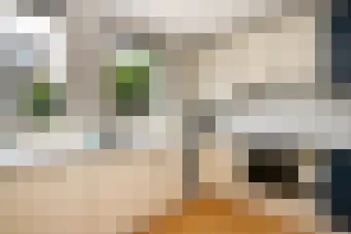 Jef Laststraat 2 Rotterdam thumbnail 16