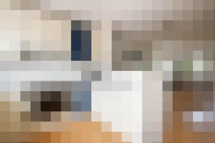 Jef Laststraat 2 Rotterdam thumbnail 17