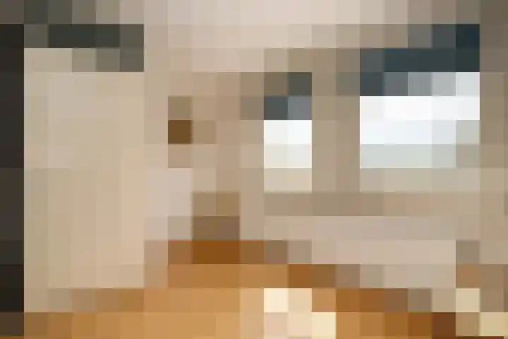Jef Laststraat 2 Rotterdam thumbnail 35