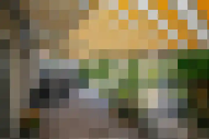 Jef Laststraat 2 Rotterdam thumbnail 37