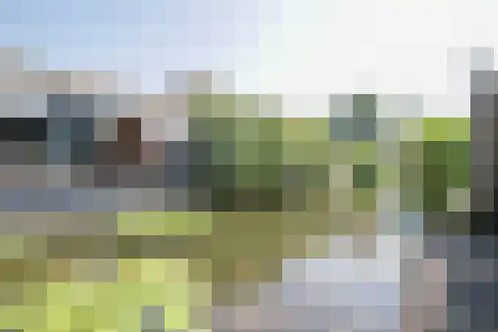Jef Laststraat 2 Rotterdam thumbnail 39