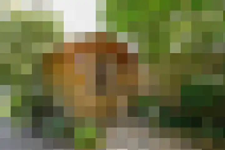 Jef Laststraat 2 Rotterdam thumbnail 42