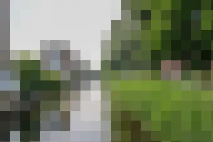 Jef Laststraat 2 Rotterdam thumbnail 54