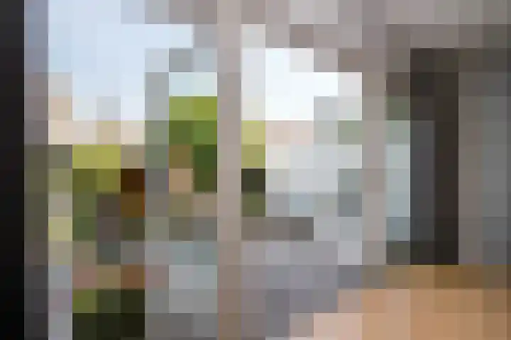 Jef Laststraat 2 Rotterdam thumbnail 9