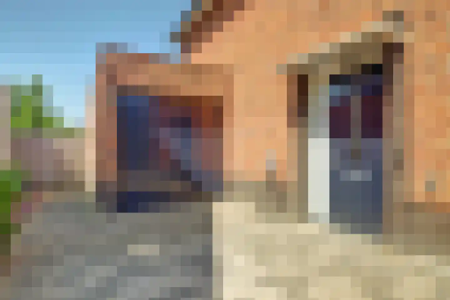 Jefkespad 2 Hoef en Haag thumbnail 10