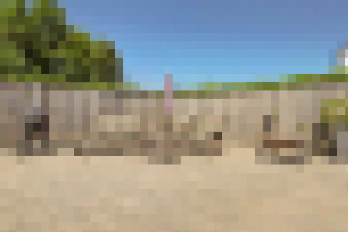 Jefkespad 2 Hoef en Haag thumbnail 57