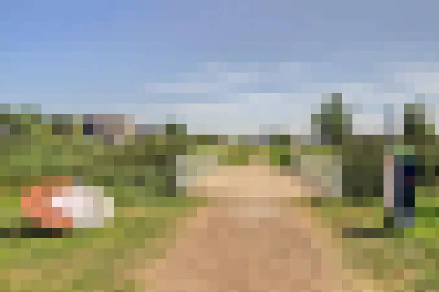 Jefkespad 2 Hoef en Haag thumbnail 66