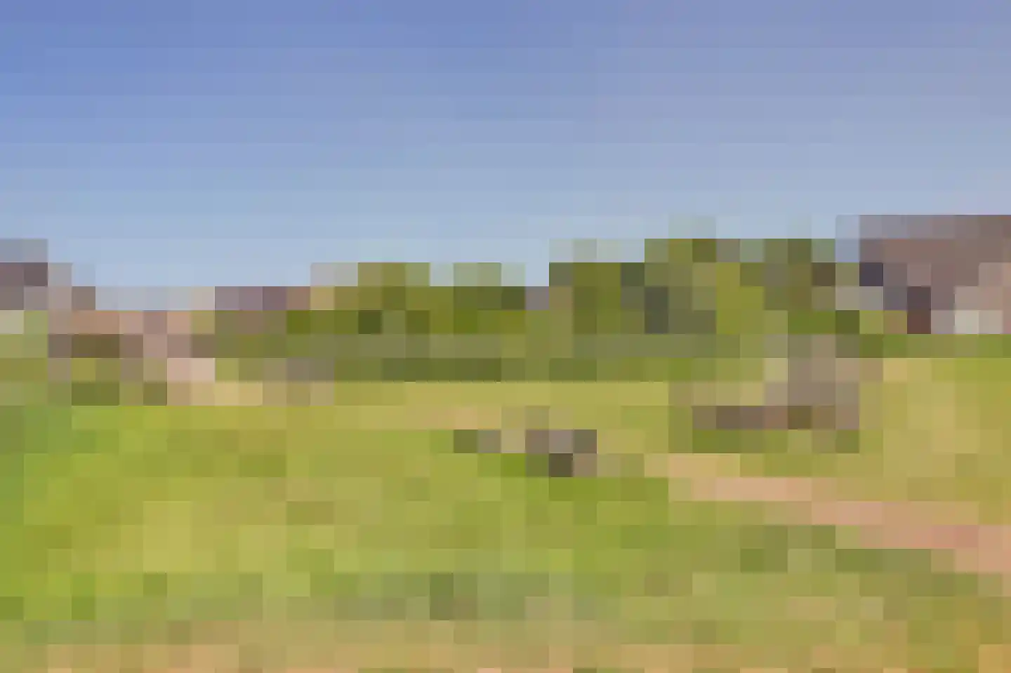Jefkespad 2 Hoef en Haag thumbnail 68