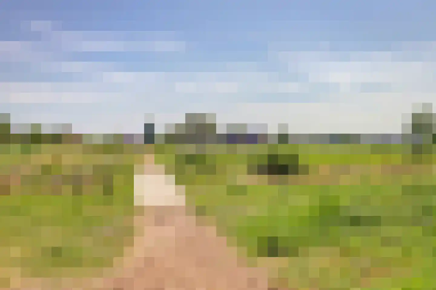 Jefkespad 2 Hoef en Haag thumbnail 69