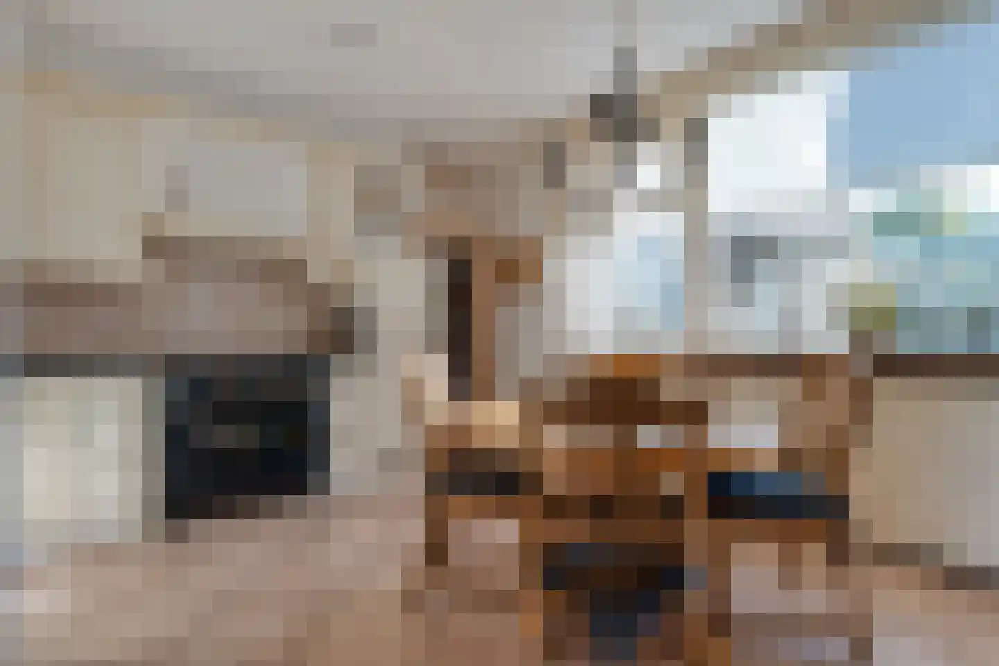 Jegerinkhorst 6 Enschede thumbnail 16