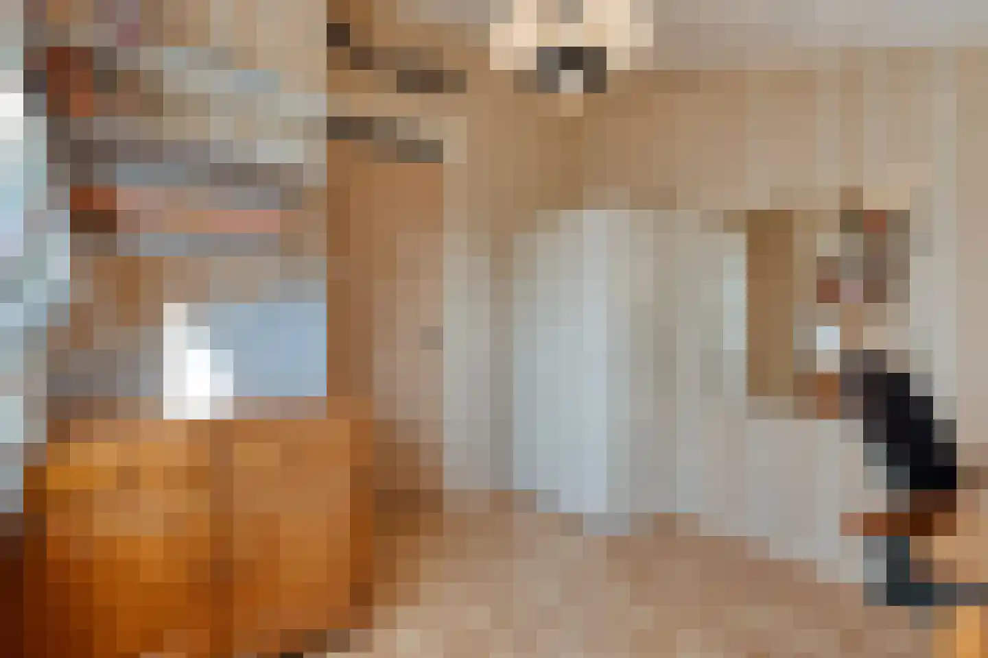 Jegerinkhorst 6 Enschede thumbnail 27
