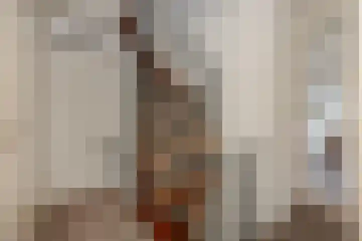 Jeker 18 Deurne thumbnail 17