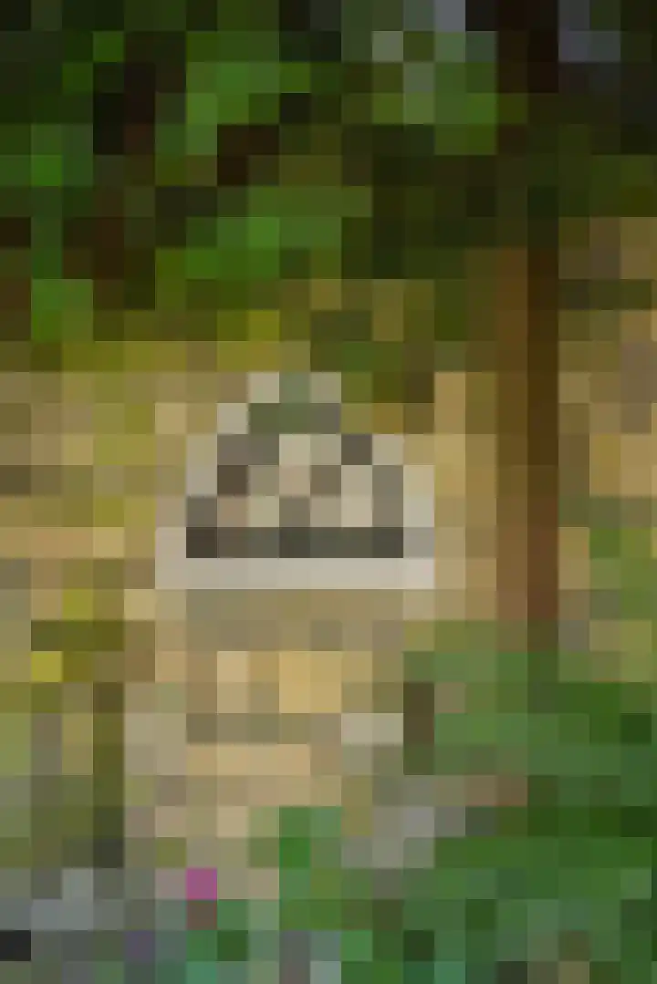 Jeker 18 Deurne thumbnail 31