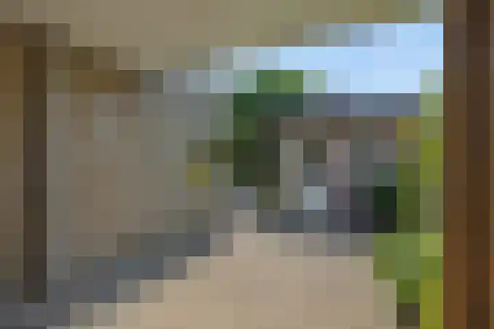 Jeker 18 Deurne thumbnail 33