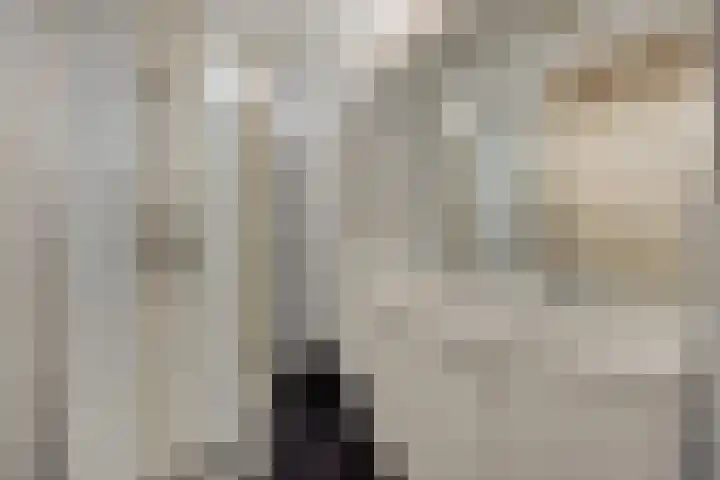 Jeker 18 Deurne thumbnail 4