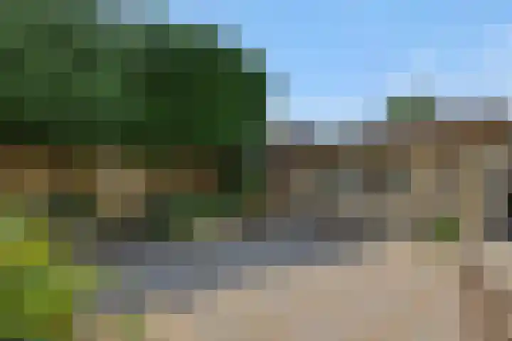 Jeker 18 Deurne thumbnail 5