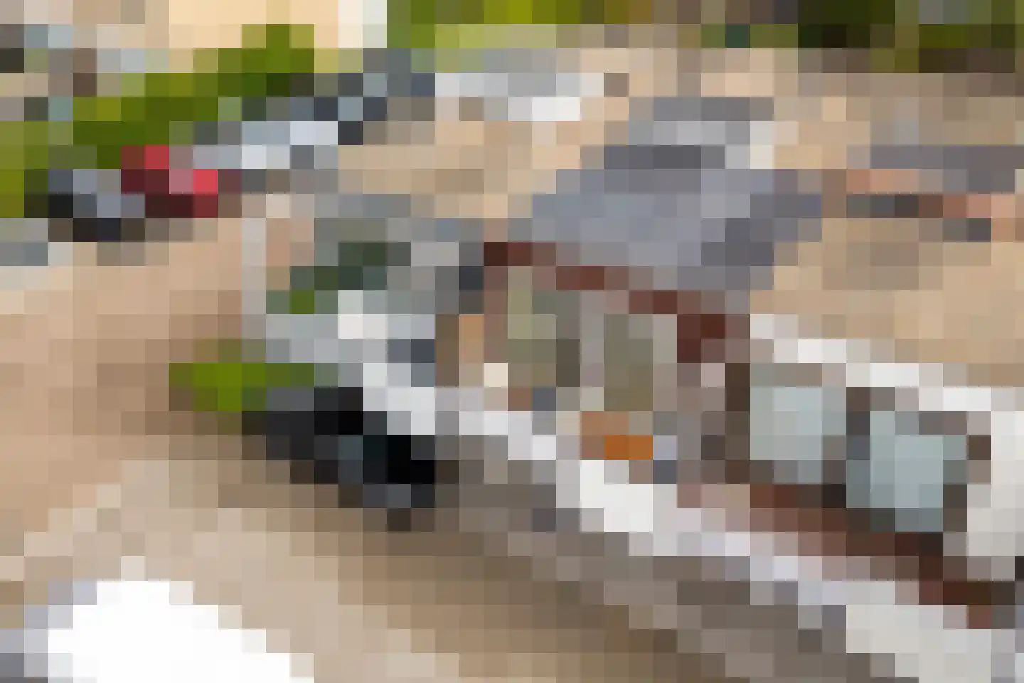 Jekerdal 22 Capelle aan den IJssel thumbnail 30