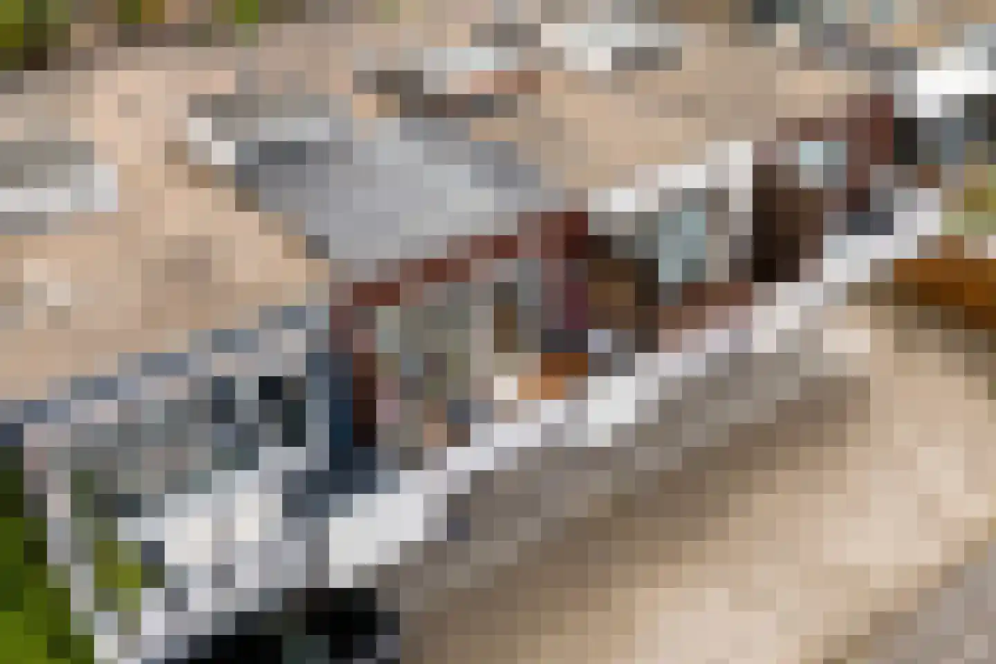 Jekerdal 22 Capelle aan den IJssel thumbnail 31