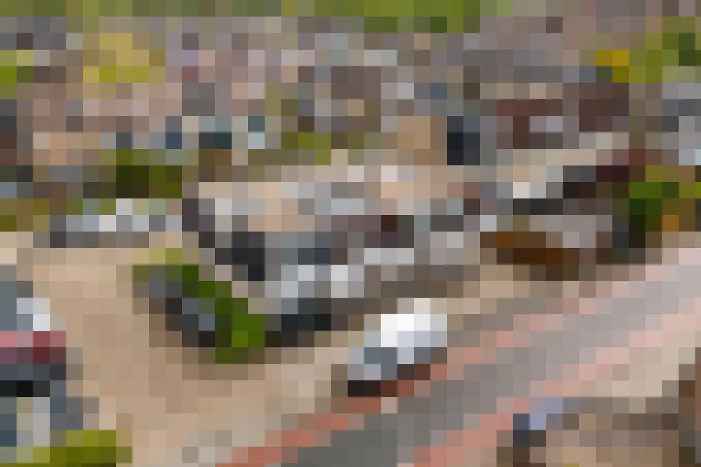 Jekerdal 22 Capelle aan den IJssel thumbnail 33